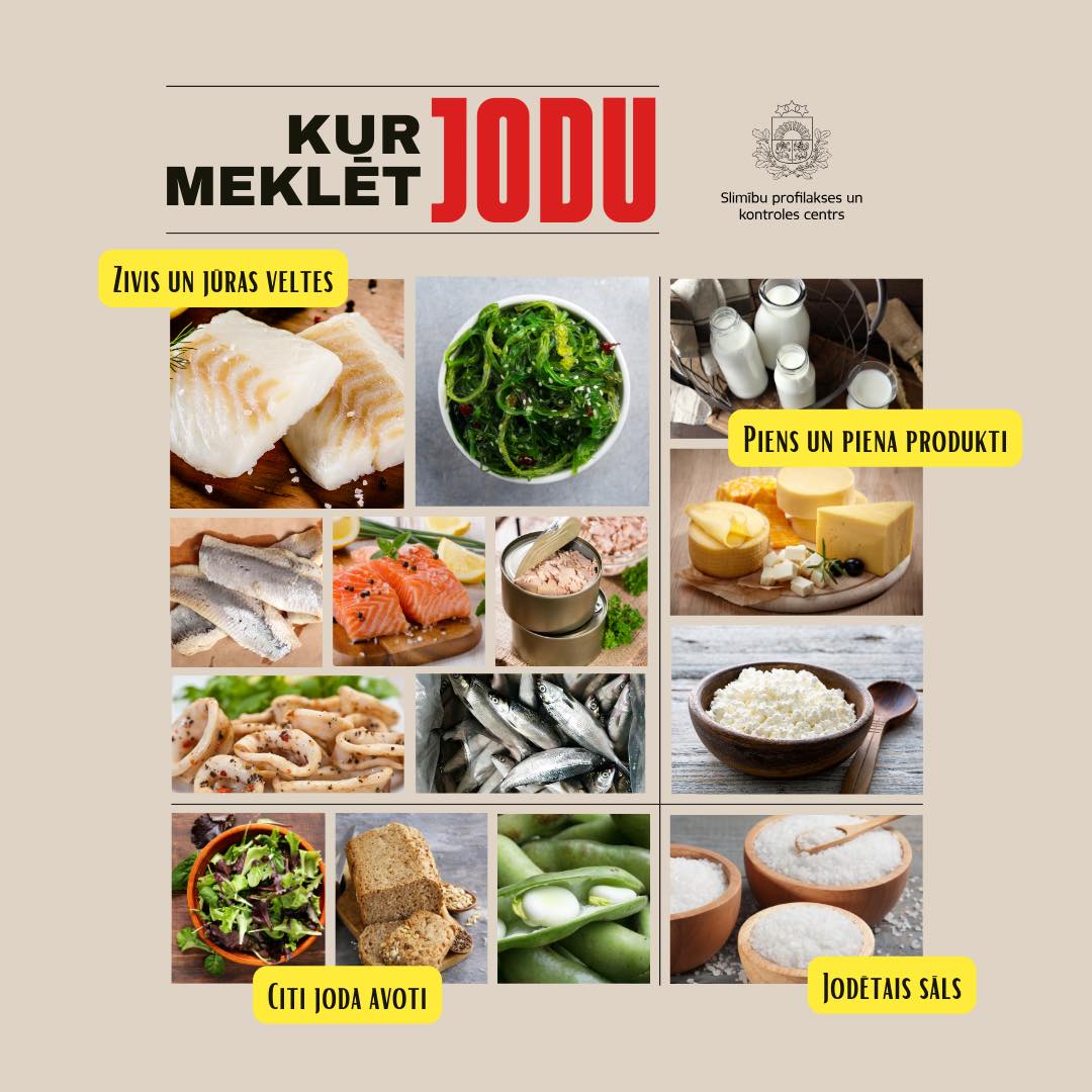 454289797_892236799601195_2190311407707136615_n